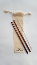 2 Stainless Steel Straws - With Bag and Brush