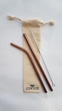 2 Stainless Steel Straws - With Bag and Brush