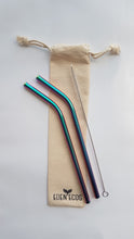 2 Stainless Steel Straws - With Bag and Brush