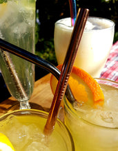 2 Stainless Steel Straws - With Bag and Brush