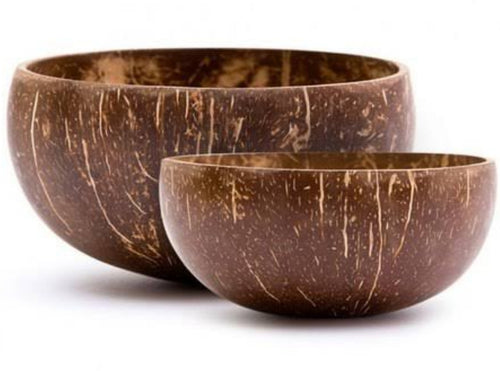 Natural Coconut bowl